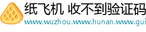 纸飞机 收不到验证码